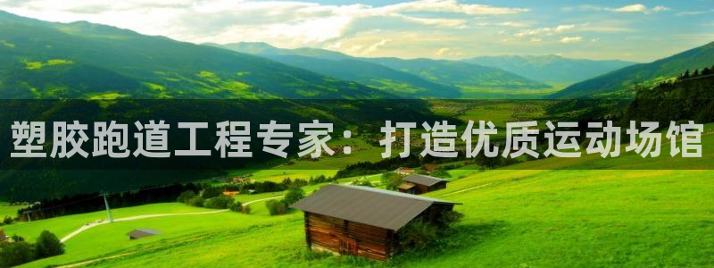 尊龙游戏官方网：塑胶跑道工程专家：打造优质运动场馆