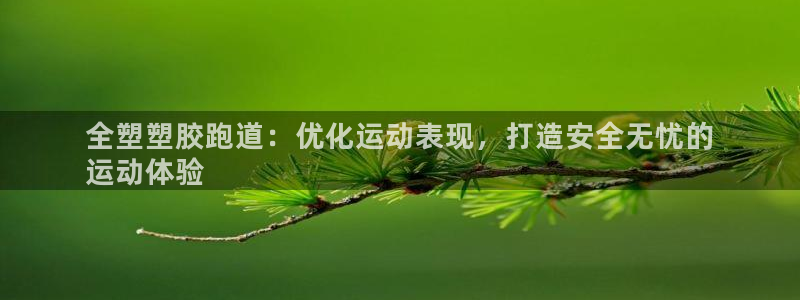 尊龙集团官网：全塑塑胶跑道：优化运动表现，打造安全无