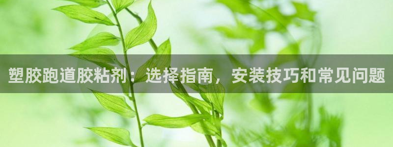 尊龙服饰有限公司地址：塑胶跑道胶粘剂：选择指南，安装