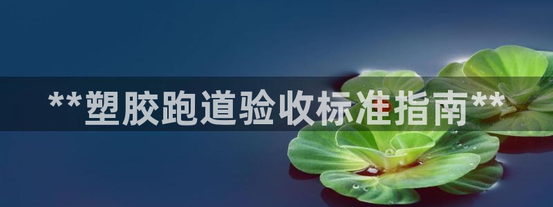 尊龙凯时平台官网：**塑胶跑道验收标准指南**