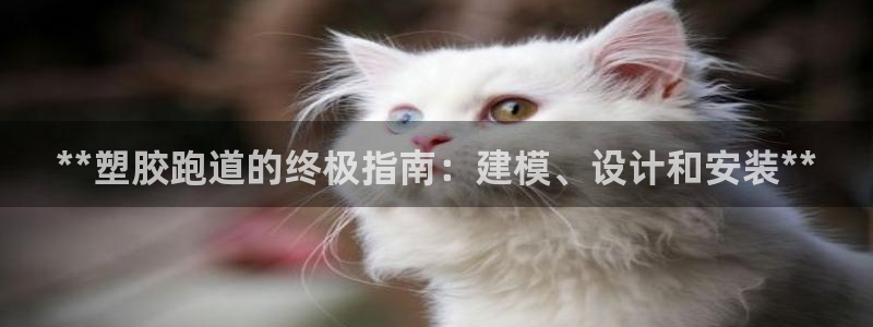 尊龙 中国：**塑胶跑道的终极指南：建模、设计和安装**