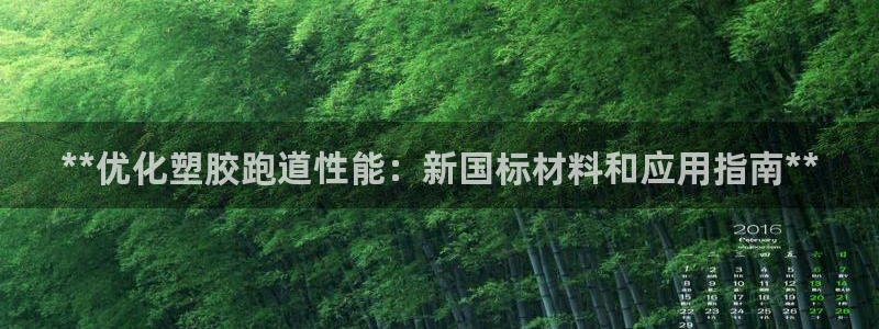 尊龙 国外：**优化塑胶跑道性能：新国标材料和应用指
