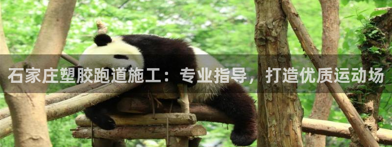 尊龙人生就是博ag旗舰厅：石家庄塑胶跑道施工：专业指