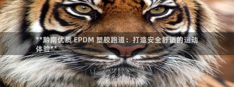 尊龙凯时俱乐部：**黔南优质 EPDM 塑胶跑道：打造安全舒适的运动
体验**