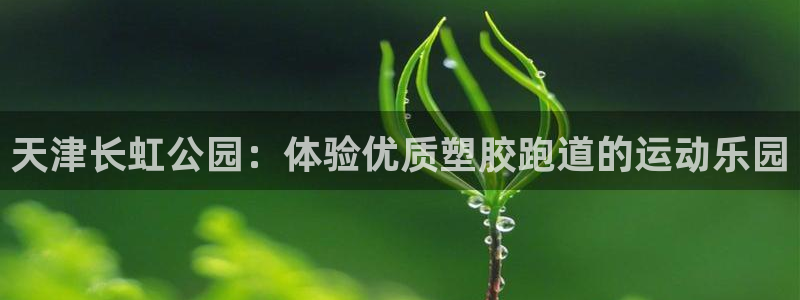 尊龙网址是多少：天津长虹公园：体验优质塑胶跑道的运动