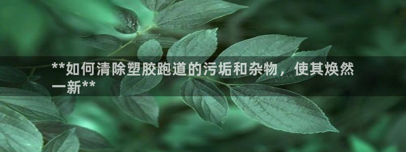 尊龙AG旗舰厅app下载：**如何清除塑胶跑道的污垢