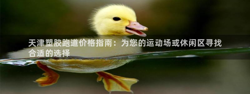 尊龙凯时人生就是搏!官网：天津塑胶跑道价格指南：为您的运动场或休闲区寻找
合适的选择