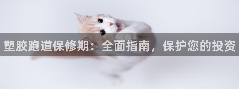 尊龙软件下载：塑胶跑道保修期：全面指南，保护您的投资