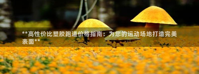 尊龙人生就是博手机版下载：**高性价比塑胶跑道价格指南：为您的运动场地打造完美
表面**