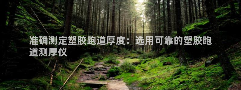 尊龙凯时网站登录：准确测定塑胶跑道厚度：选用可靠的塑胶跑
道测厚仪