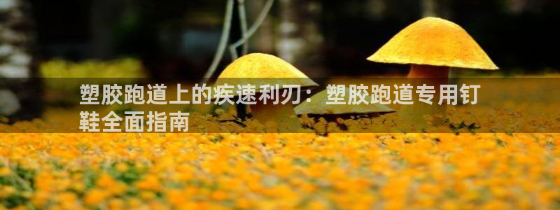 尊龙手机官方客户端下载安装：塑胶跑道上的疾速利刃：塑胶跑道专用钉
鞋全面指南
