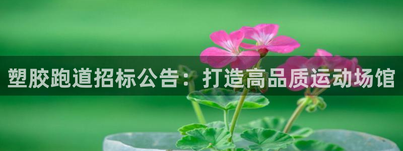 尊龙ag旗舰厅登录 租车app下载：塑胶跑道招标公告