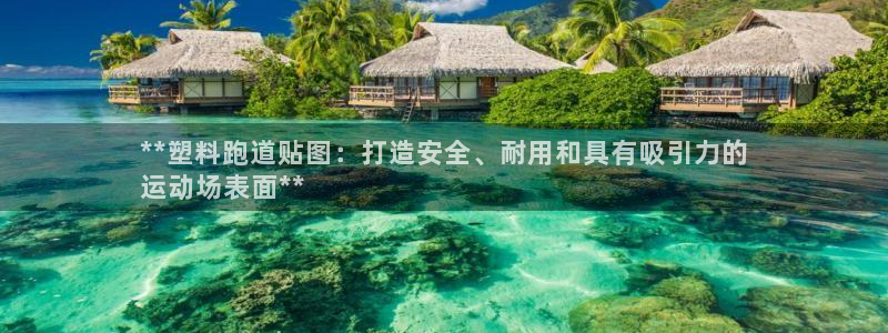 尊龙凯时的生产设备：**塑料跑道贴图：打造安全、耐用和具有吸引力的
运动场表面**