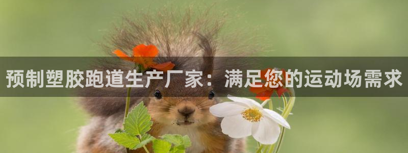 尊龙凯时游戏厅：预制塑胶跑道生产厂家：满足您的运动场需求