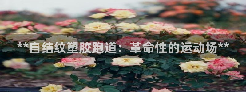 凯时国际平台有人赢吗：**自结纹塑胶跑道：革命性的运动场**