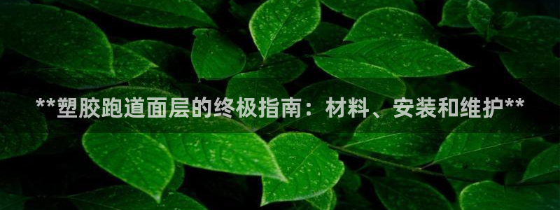 凯时平台app：**塑胶跑道面层的终极指南：材料、安