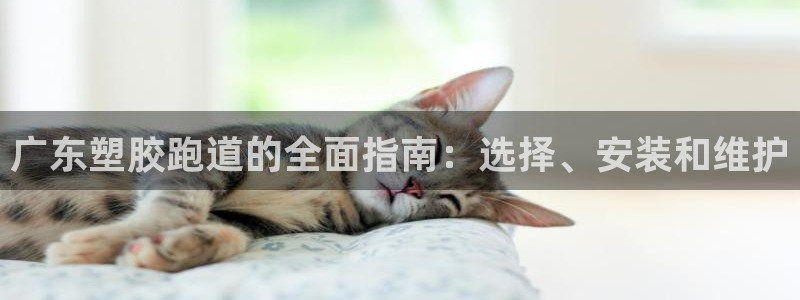 尊龙凯时一人生就是博官网：广东塑胶跑道的全面指南：选择、安装和维护