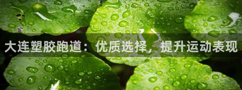 尊龙d88手机登录免费下载：大连塑胶跑道：优质选择，提升运动表现