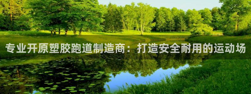 旧版尊龙人生就是博下载：专业开原塑胶跑道制造商：打造安全耐用的运动场
