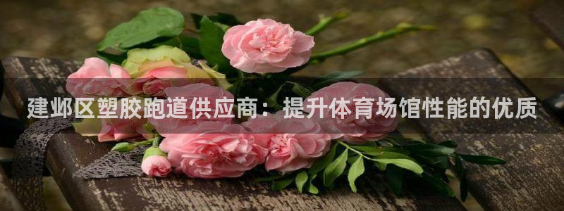 尊龙凯时网站登录：建邺区塑胶跑道供应商：提升体育场馆性能的优质
