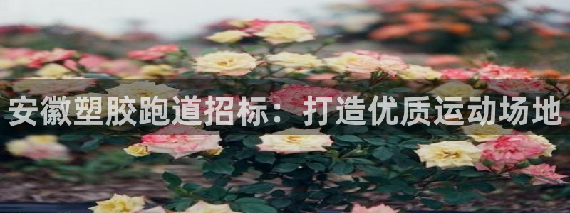 尊龙ag旗舰厅官网登录：安徽塑胶跑道招标：打造优质运动场地