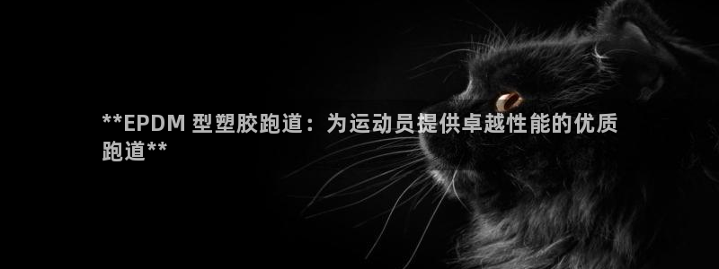 凯时游戏官方网站：**EPDM 型塑胶跑道：为运动员