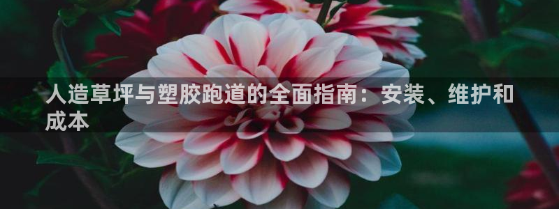 尊龙凯时下载官方正版：人造草坪与塑胶跑道的全面指南：