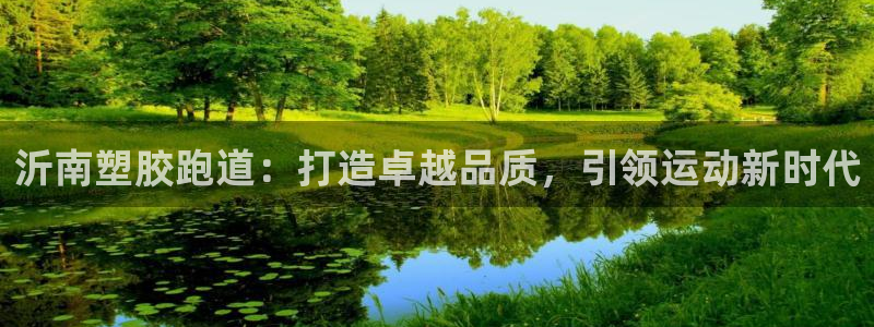 尊龙人生就是博官：沂南塑胶跑道：打造卓越品质，引领运