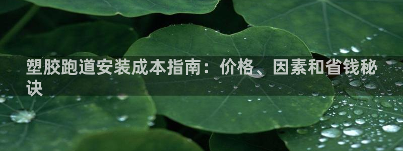 尊龙体育怎么样：塑胶跑道安装成本指南：价格、因素和省