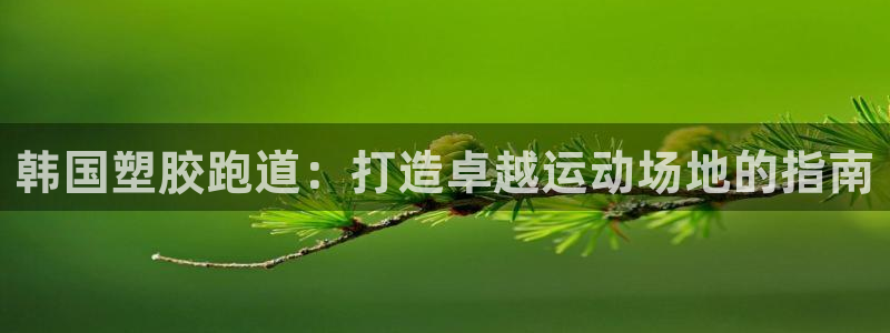 尊龙光学怎么样：韩国塑胶跑道：打造卓越运动场地的指南