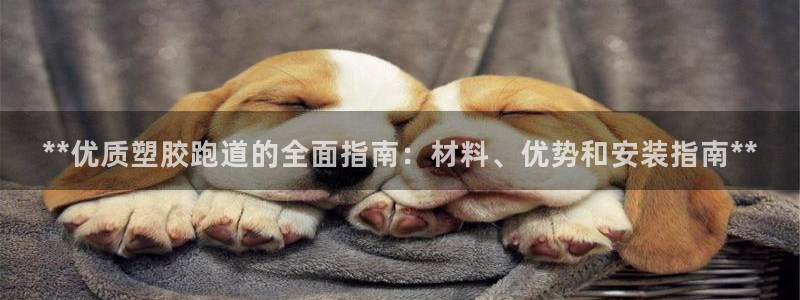 尊龙D88现金旧版：**优质塑胶跑道的全面指南：材料