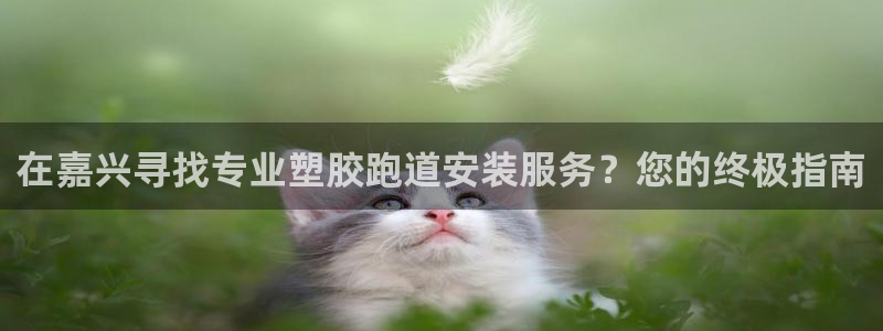 尊龙凯时为什么输了钱：在嘉兴寻找专业塑胶跑道安装服务？您的终极指南
