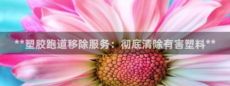 尊龙版末代皇帝：**塑胶跑道移除服务：彻底清除有害塑料**