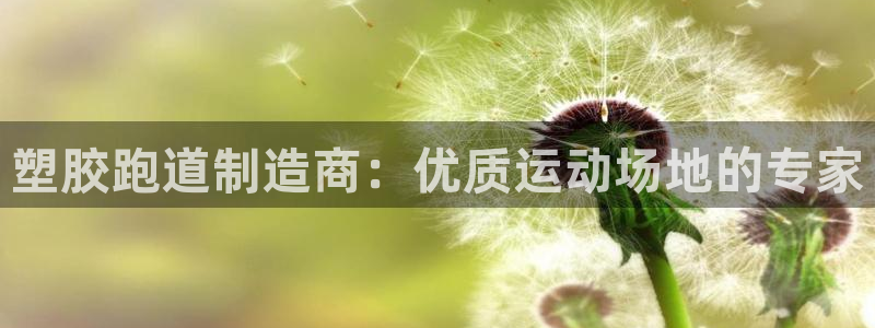 尊龙 10：塑胶跑道制造商：优质运动场地的专家