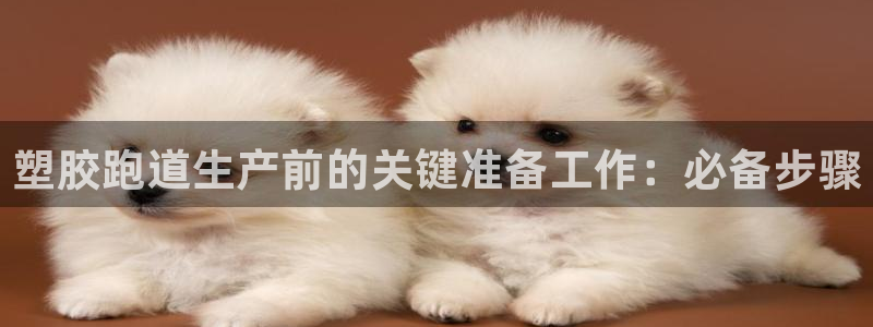 尊龙凯时平台不给出款怎么办：塑胶跑道生产前的关键准备工作：必备步骤