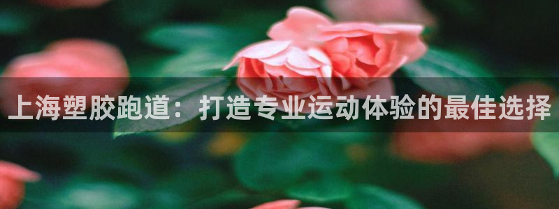 尊龙d88手机app免费下载：上海塑胶跑道：打造专业运动体验的最佳选择