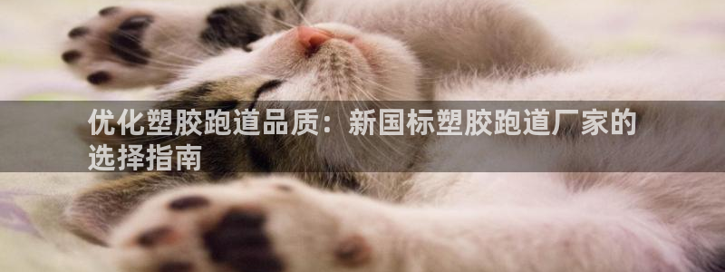 凯时官网联系方式：优化塑胶跑道品质：新国标塑胶跑道厂家的
选择指南