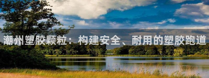 尊龙集团有限公司招聘：潮州塑胶颗粒：构建安全、耐用的塑胶跑道