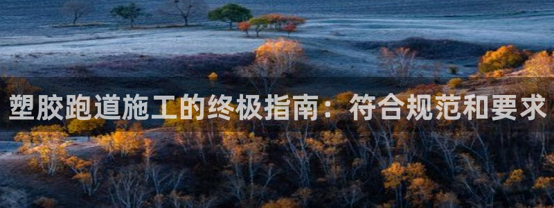 尊龙凯时集团：塑胶跑道施工的终极指南：符合规范和要求