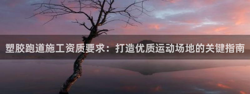 尊龙凯时投诉最狠的方法：塑胶跑道施工资质要求：打造优质运动场地的关键指南