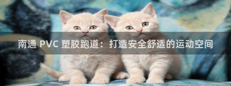 尊龙官方网址：南通 PVC 塑胶跑道：打造安全舒适的