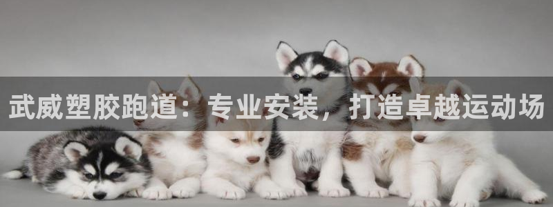 尊龙新版app首页：武威塑胶跑道：专业安装，打造卓越运动场