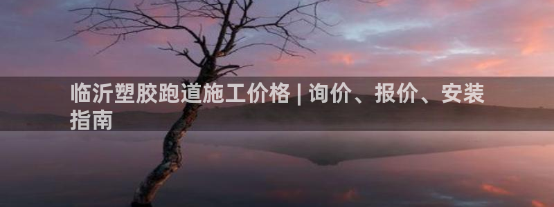 尊龙实业有限公司是正规还是仿：临沂塑胶跑道施工价格 | 询价、报价、安装
指南