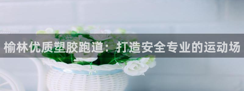 尊龙凯时-人生就是博中国官网最新：榆林优质塑胶跑道：打造安全专业的运动场