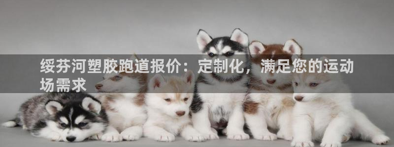 尊龙凯时官方网站：绥芬河塑胶跑道报价：定制化，满足您的运动
场需求
