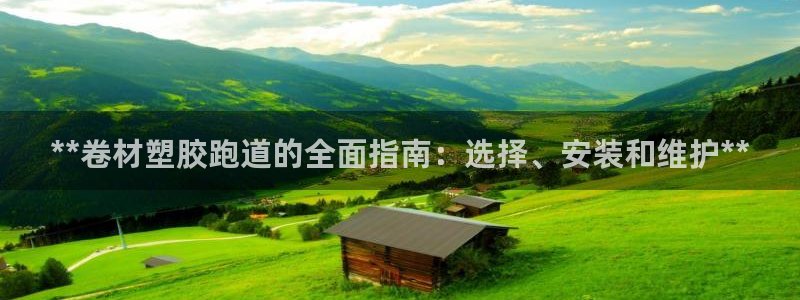 尊龙体育直接访问agbaofu.wang|ag暴富网：**卷材塑胶跑道的全面指南：选择、安装和维护**