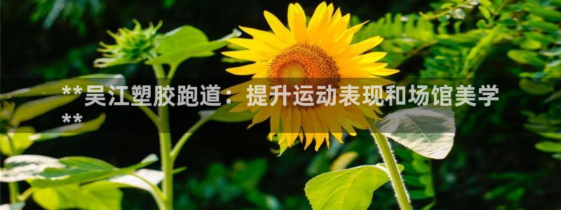 尊龙凯时几百万怎么下：**吴江塑胶跑道：提升运动表现和场馆美学
**
