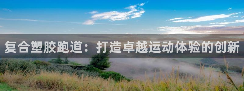 尊龙专访：复合塑胶跑道：打造卓越运动体验的创新