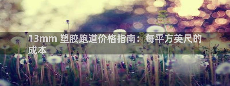 尊龙,人生就是搏：13mm 塑胶跑道价格指南：每平方