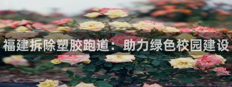 尊龙凯时下载人生就是博：福建拆除塑胶跑道：助力绿色校